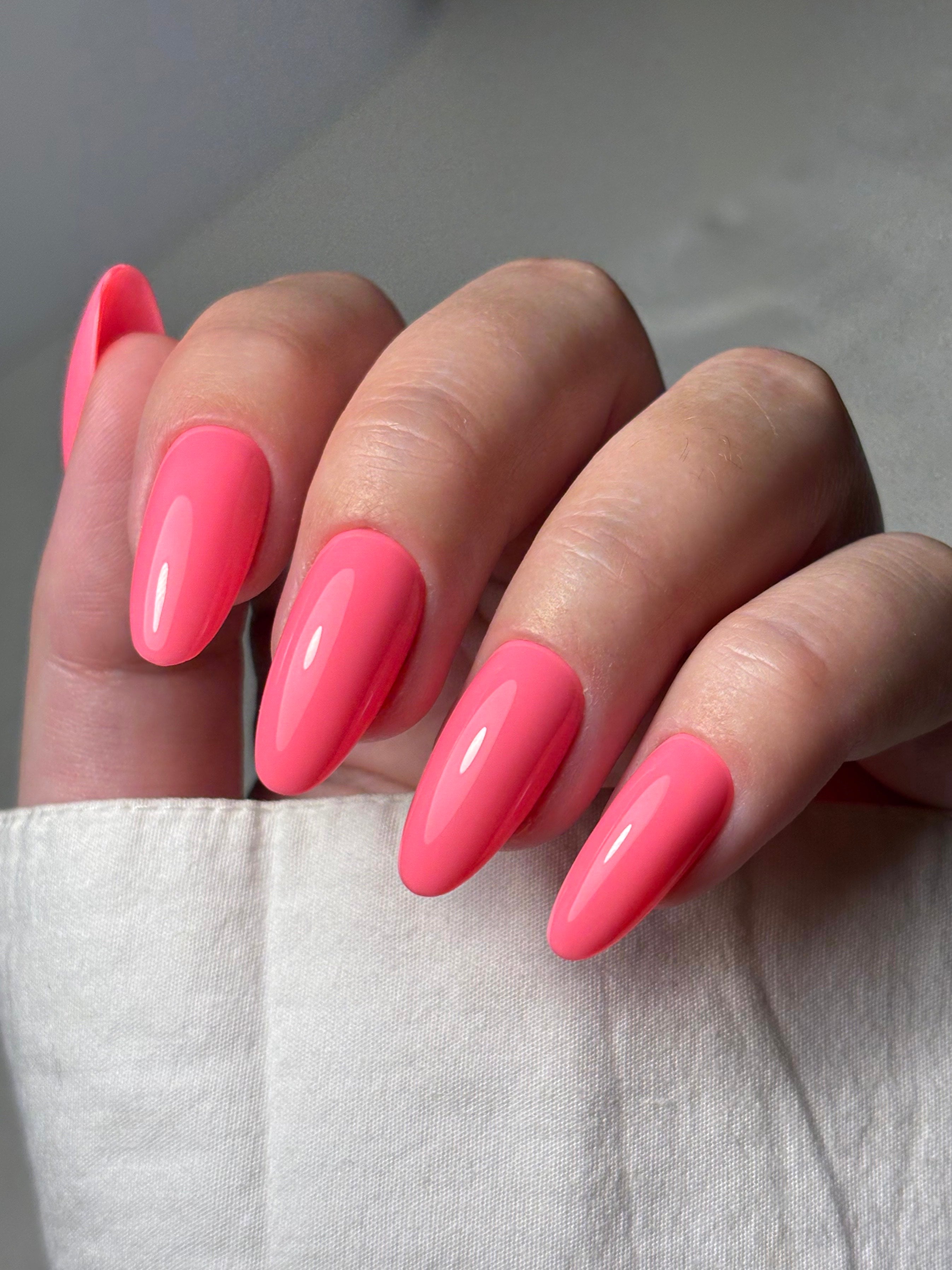 019 гібіскус