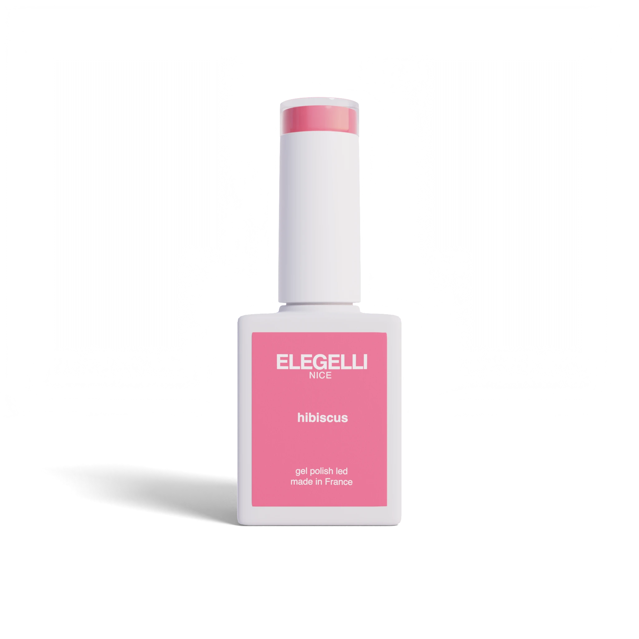 019 гібіскус