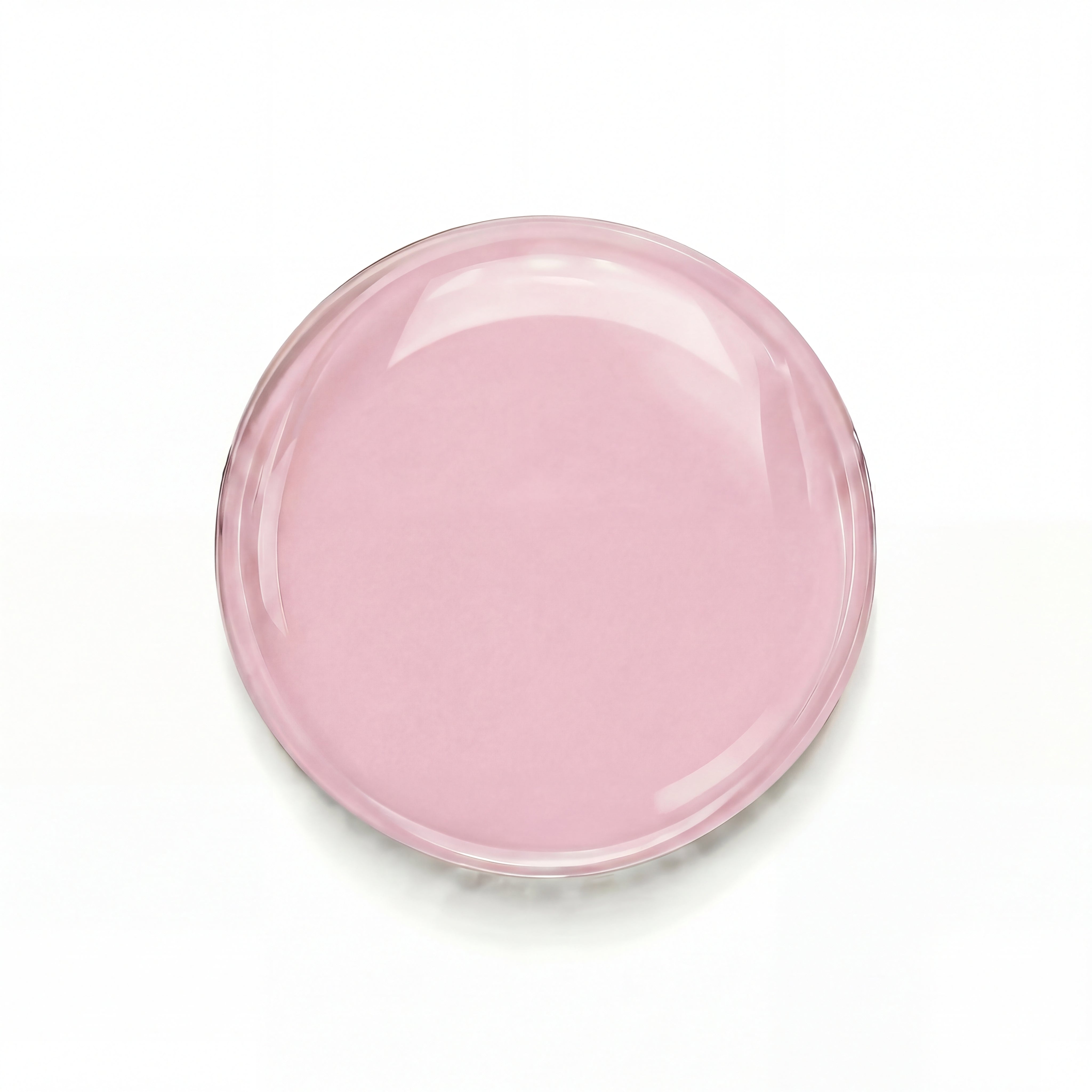 B006 Магнолія